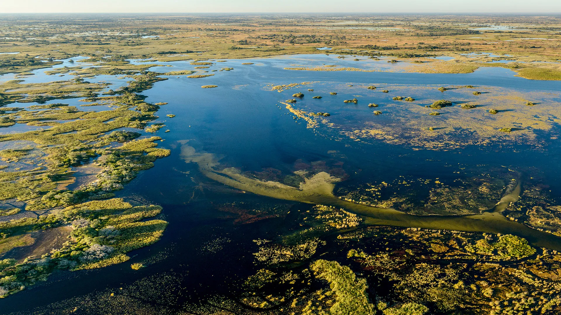 Botswana landscape