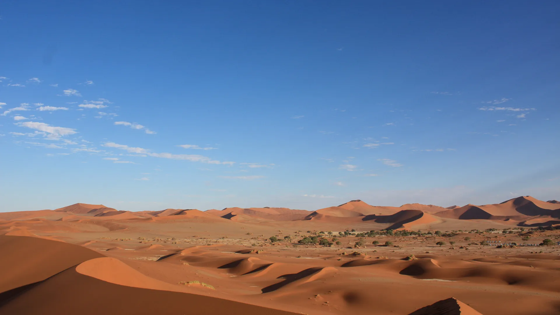 Namib dunes
