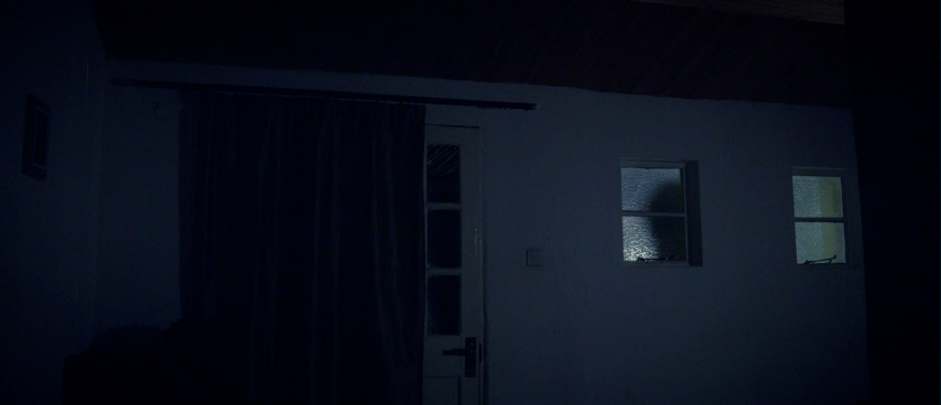 A shot of the outside of a house at night, a shadow in the window.