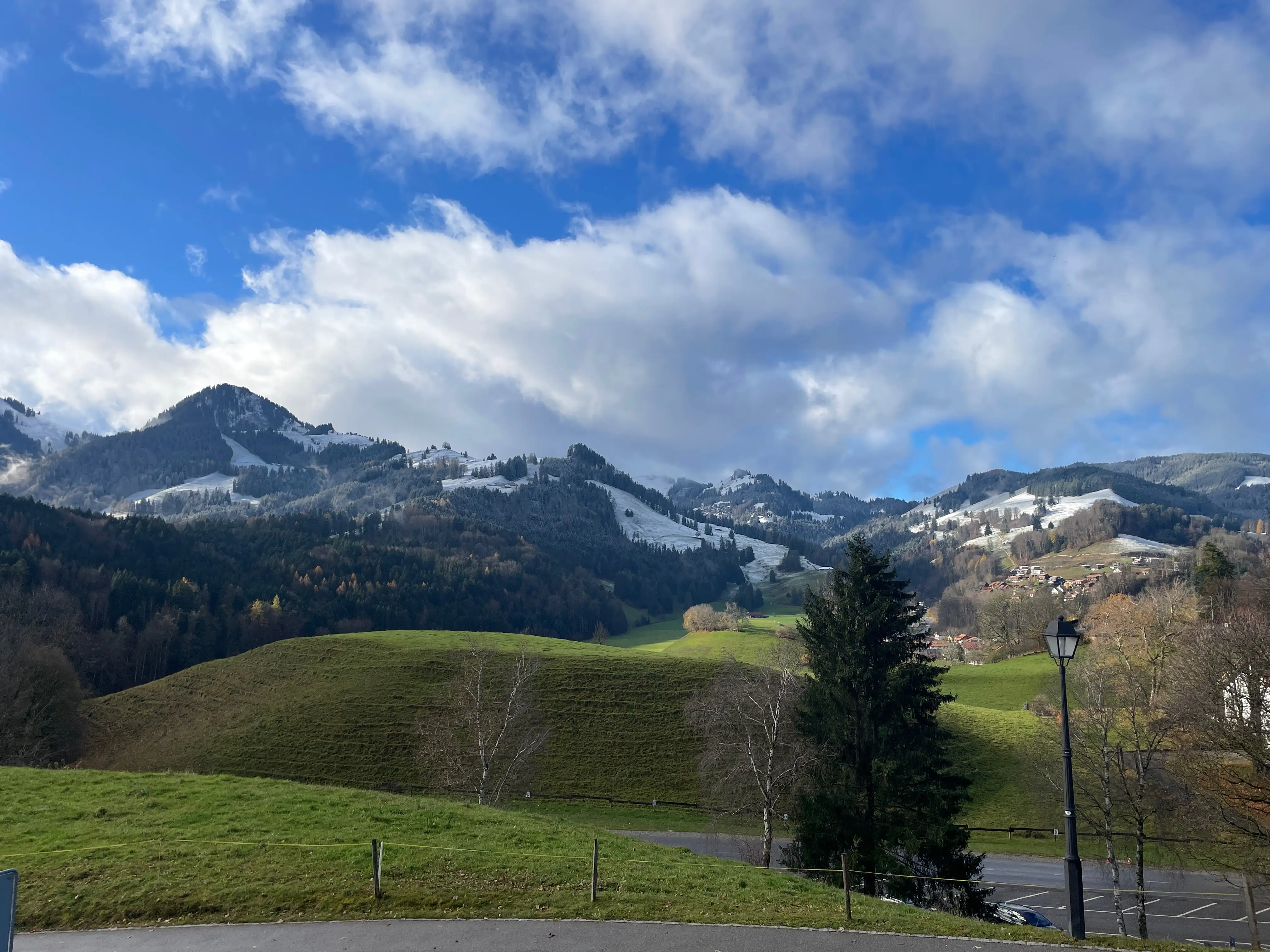 Nos premiers jours en Suisse : entre émerveillement, cartons et vaches à la fenêtre