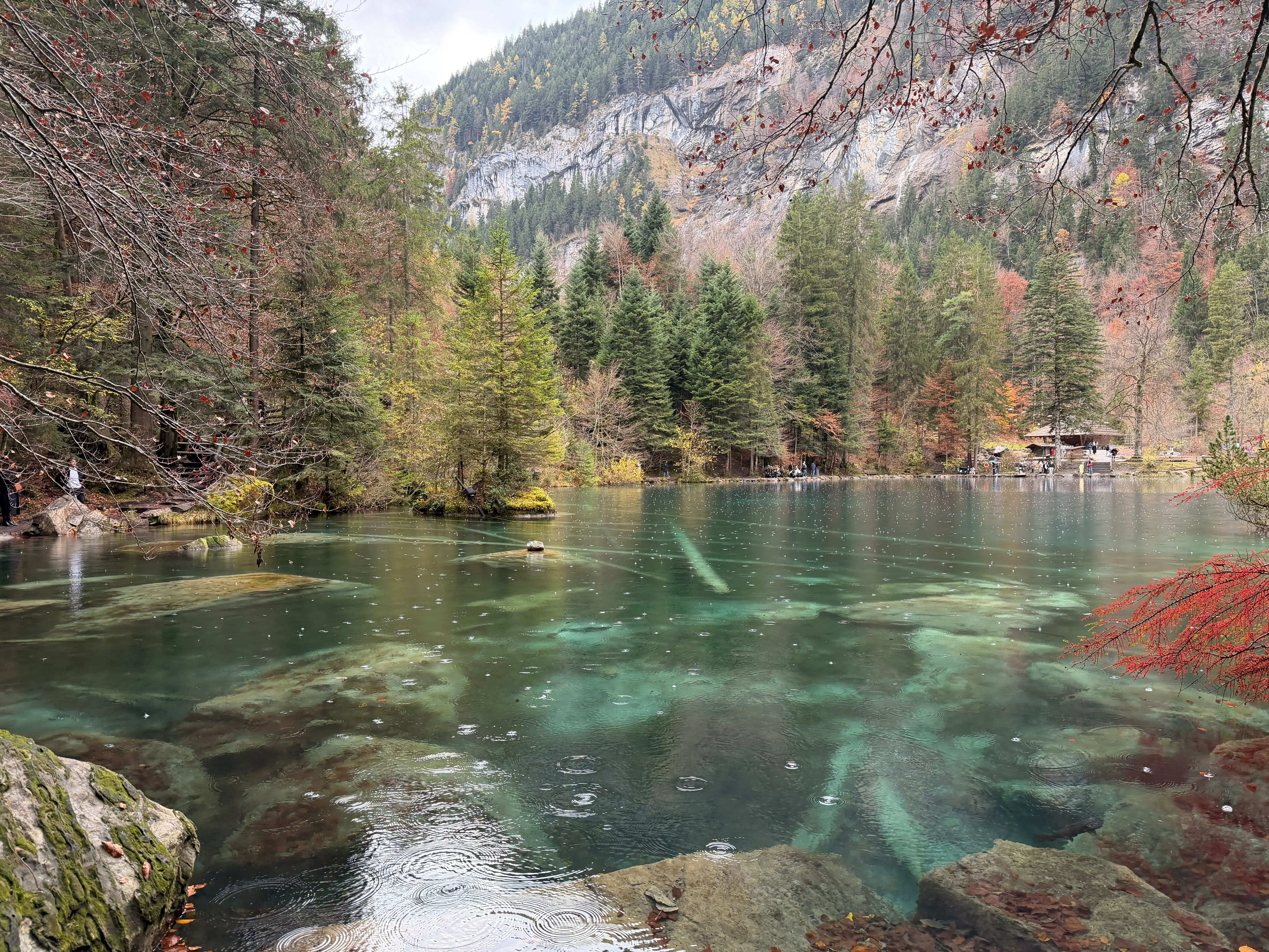 Le lac de Blausee en Suisse : notre sortie en famille au cĆur de l'Oberland bernois