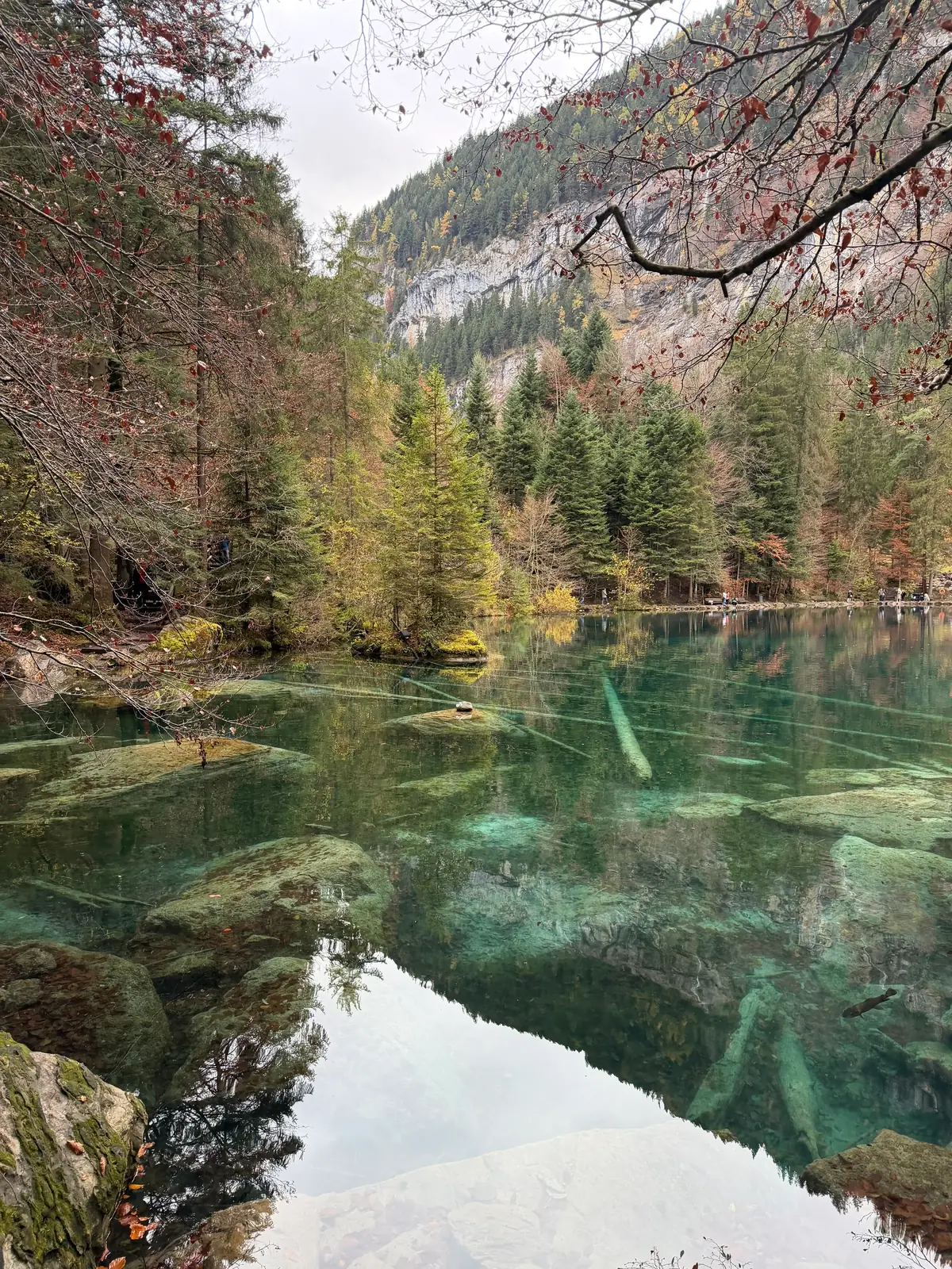 Vue rapprochée sur l'eau transparente et les rochers du lac de Blausee en automne