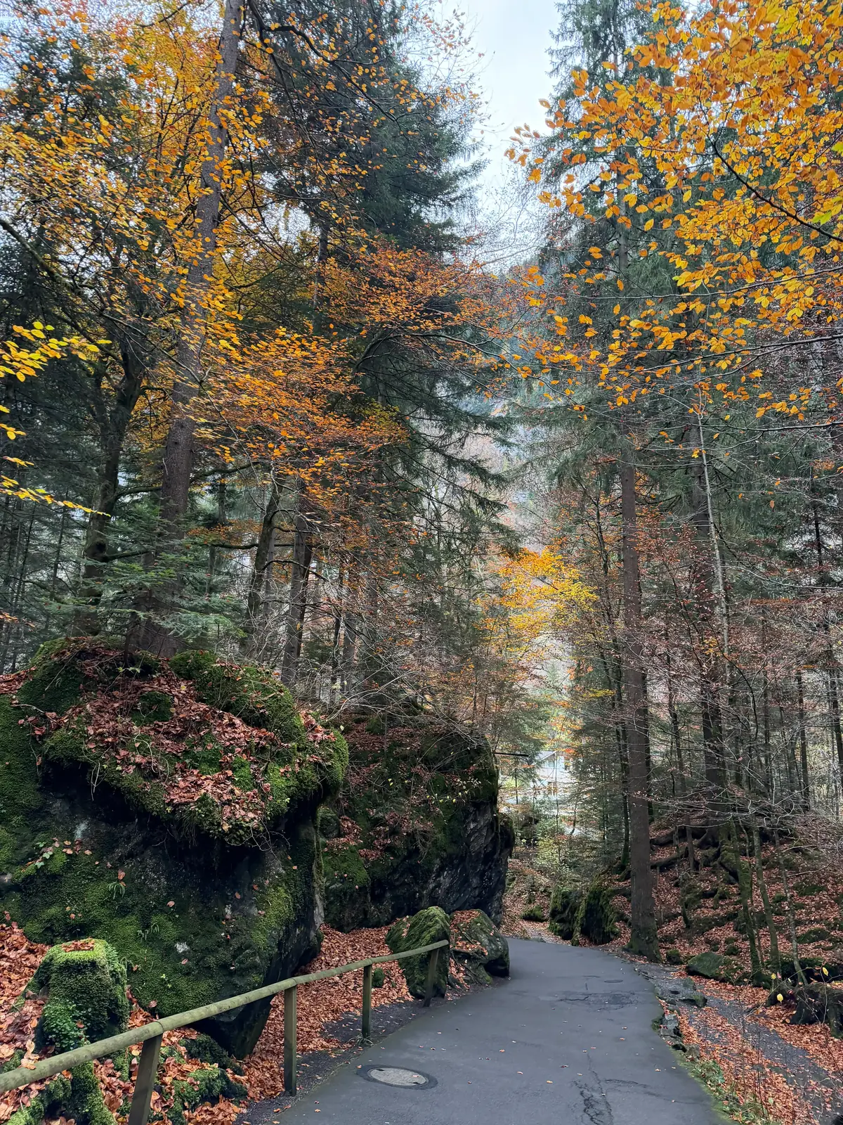 Sentier forestier aux couleurs d'automne près du lac de Blausee, Oberland bernois