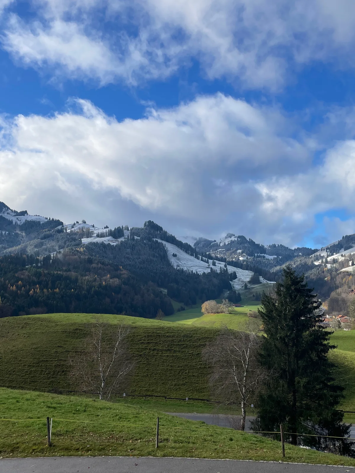 S'installer en Suisse en famille : le récit de nos premiers jours à Fribourg