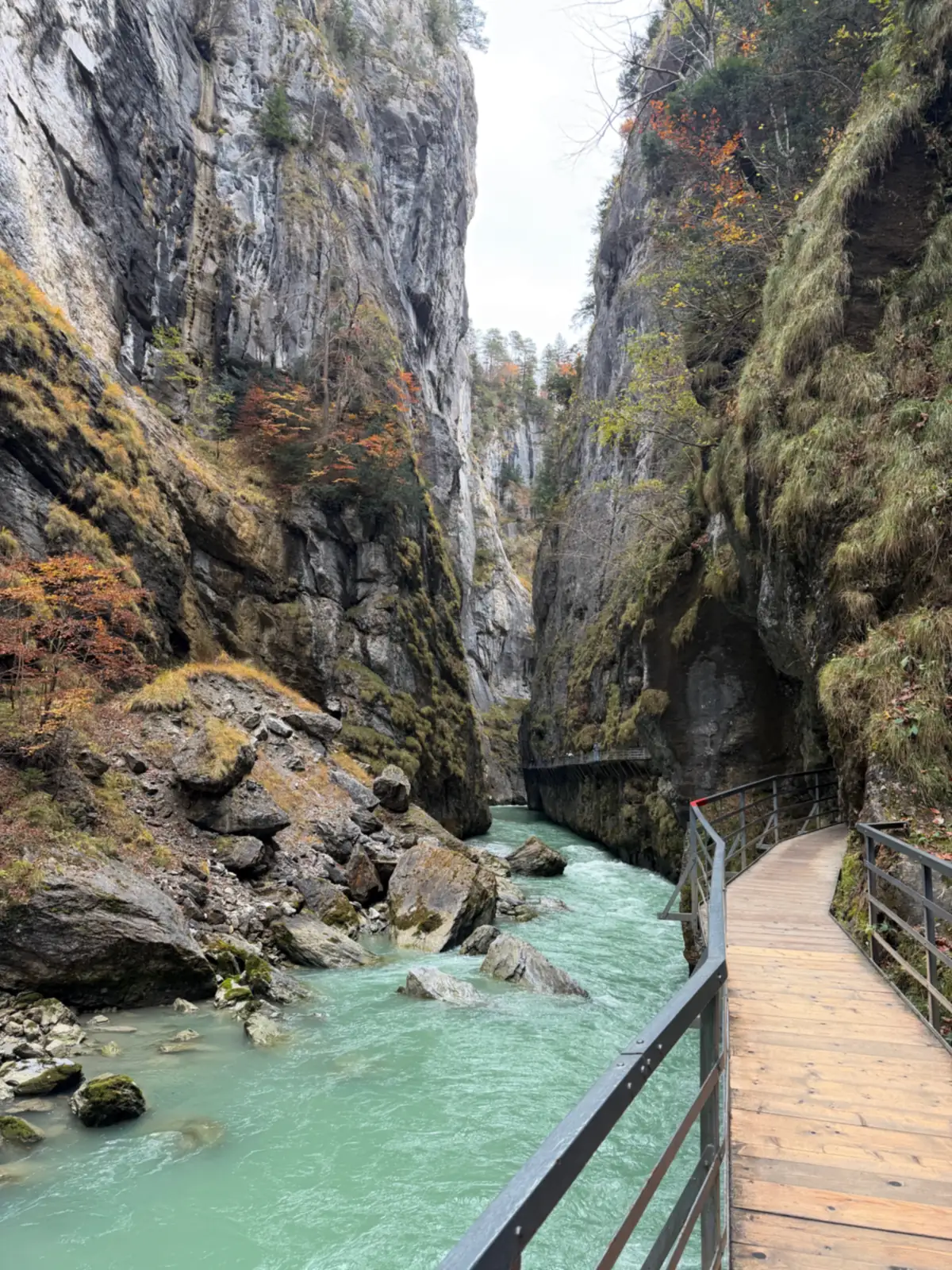 Passerelle en bois du sentier des gorges de l'Aar longeant la rivière au milieu des falaises