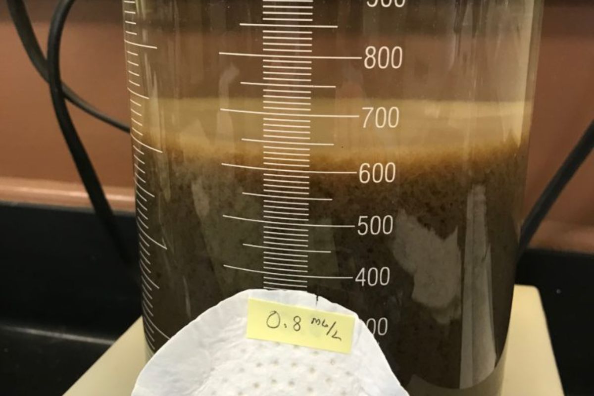 Mallory settlometer test showing compact mixed liquor settling at municipal wastewater treatment plant