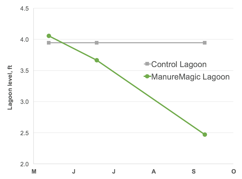 sludge depth reduction in swine manure lagoon after biological treatment