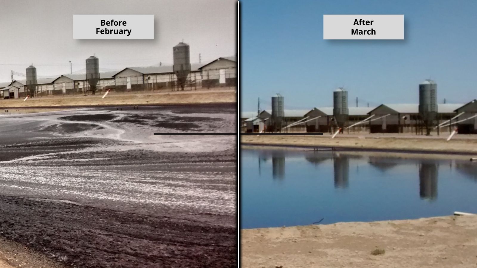 before and after comparison of swine manure lagoon showing reduction of solids accumulation after biological treatment