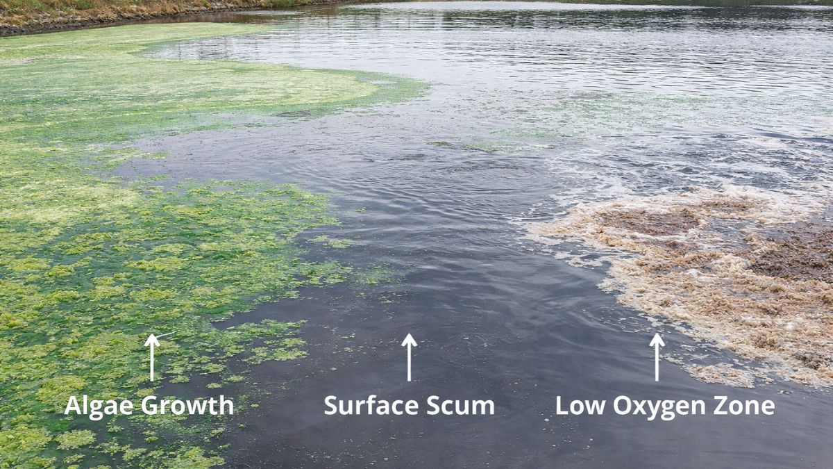 common wastewater lagoon challenges