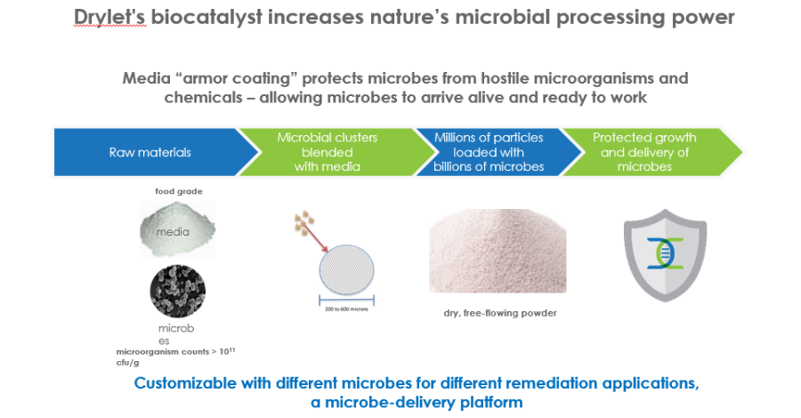 bacteria attached to porous carrier media wastewater sludge reduction