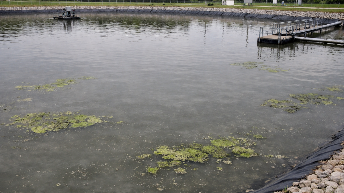 Wastewater lagoon with low dissolved oxygen showing poor mixing and surface scum