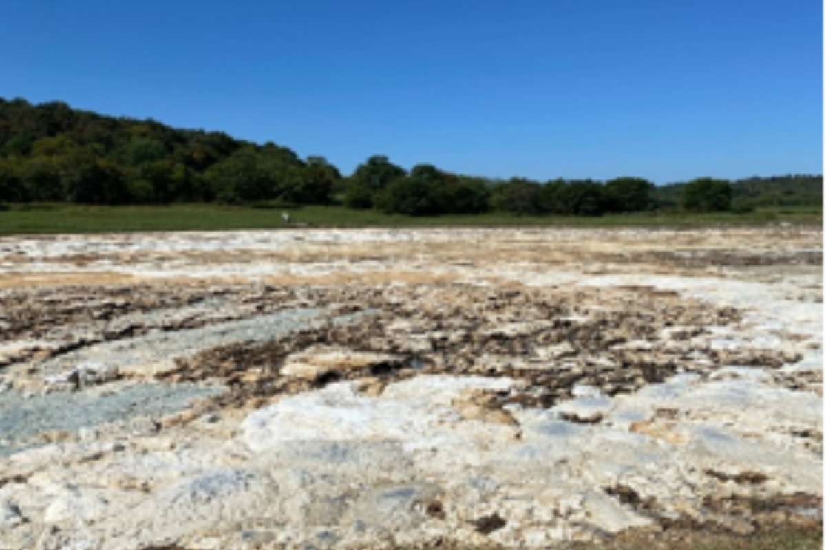 Industrial wastewater lagoon showing variable loading conditions and concentrated organic influent