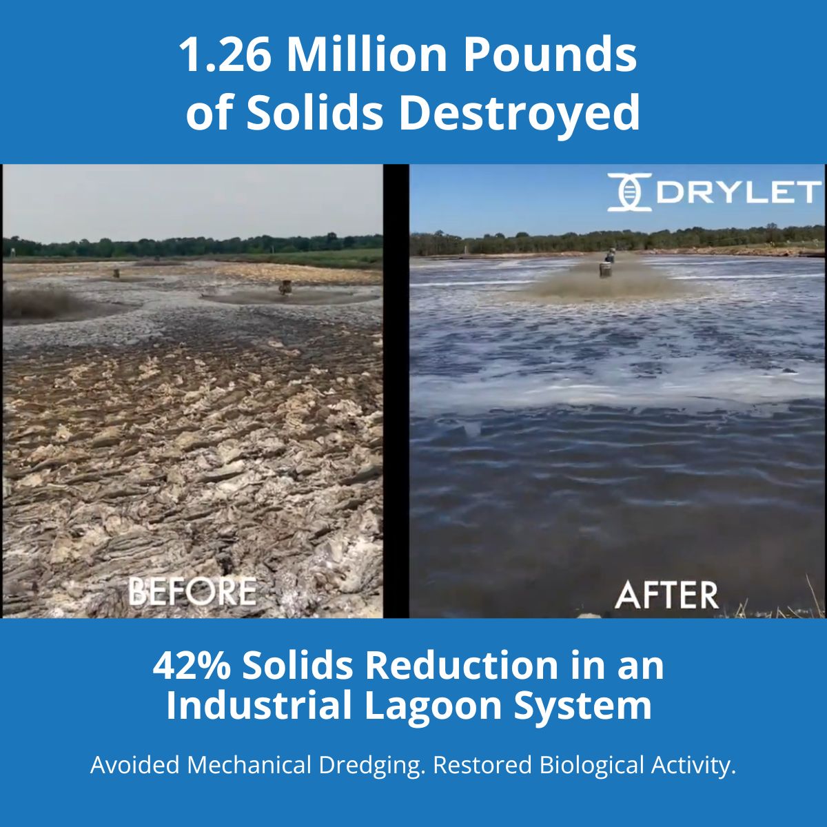 Comparison of a healthy diverse microbial community versus an unbalanced microbial community in wastewater treatment.