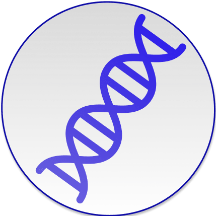 a conceptual image of dna