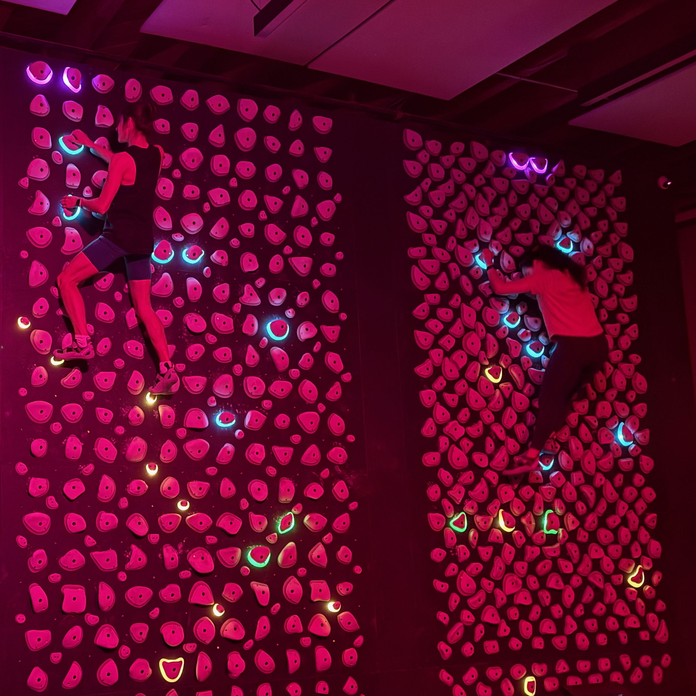 Woman sport climbing