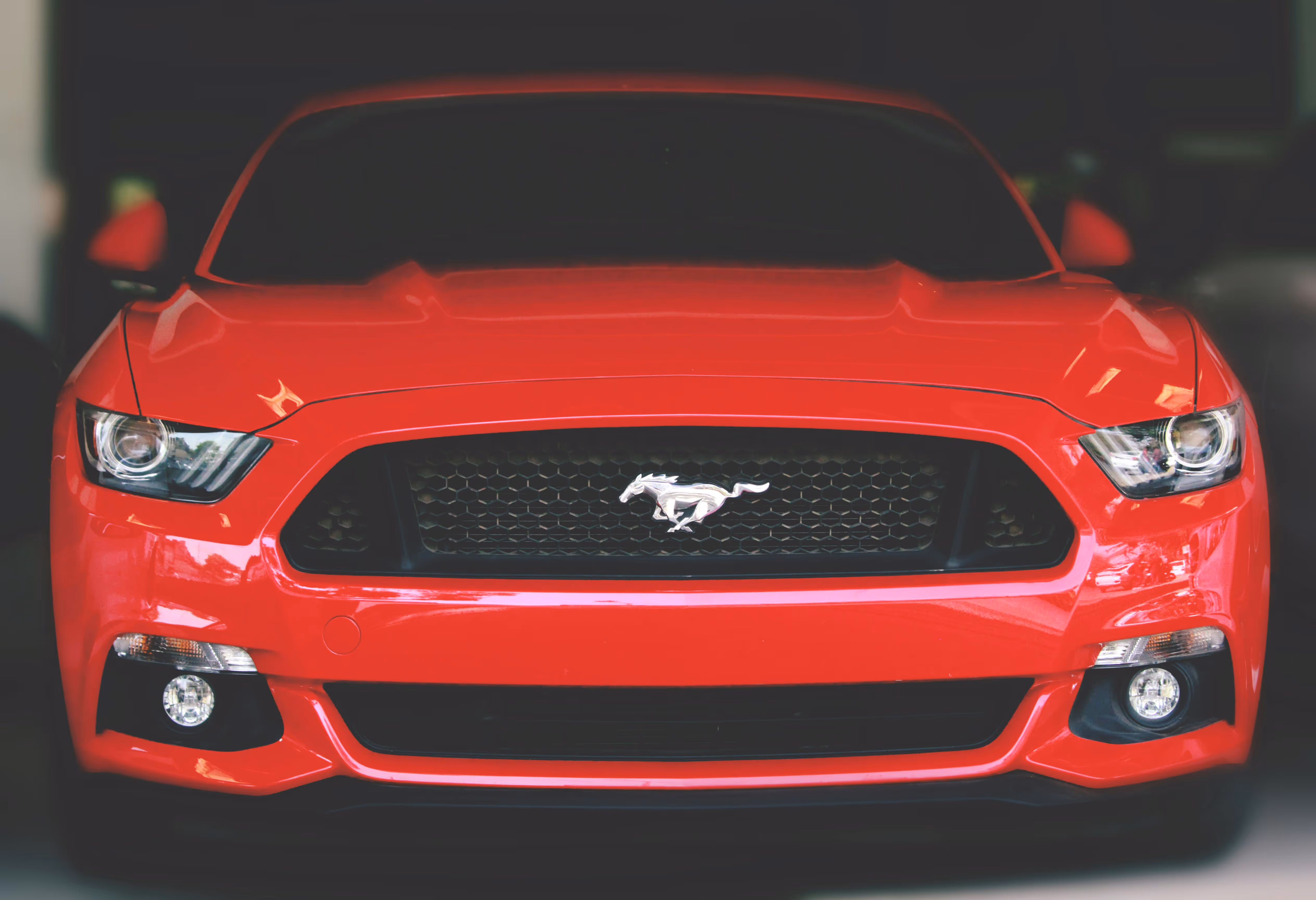 Red Mustang