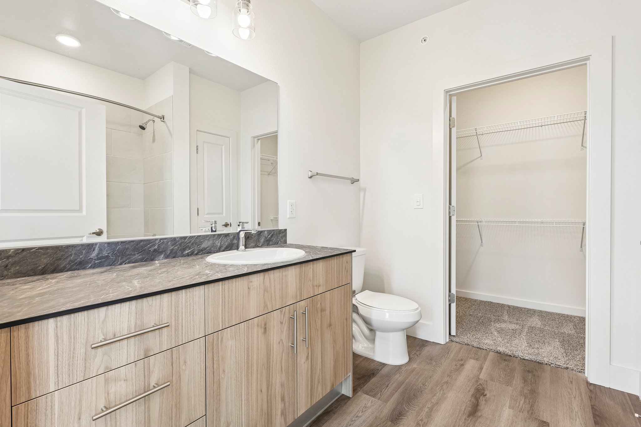 bathroom vanity, mirror, and plank flooring