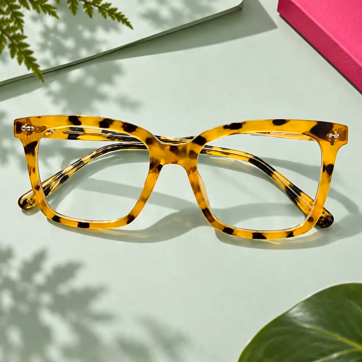 Daro frame