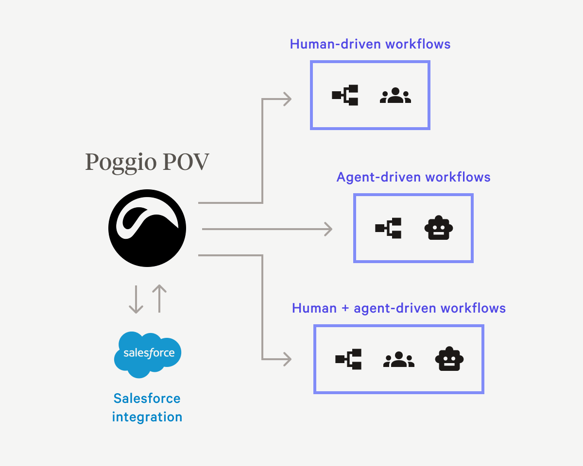 POV Diagram