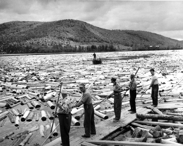 Log Drivers From Canada