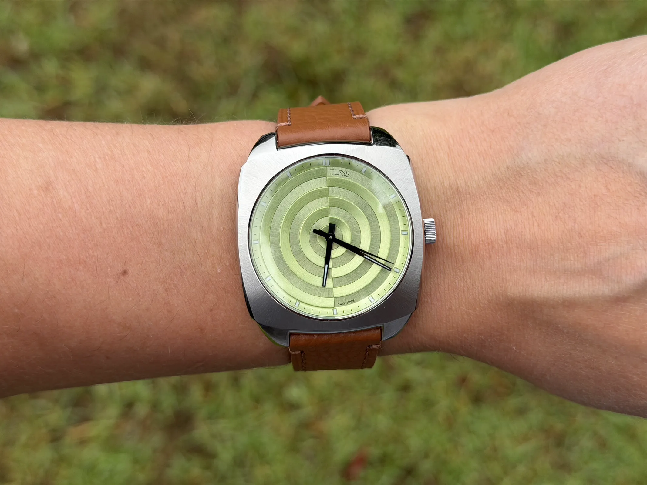 The Tessé Architect Pistachio Vault