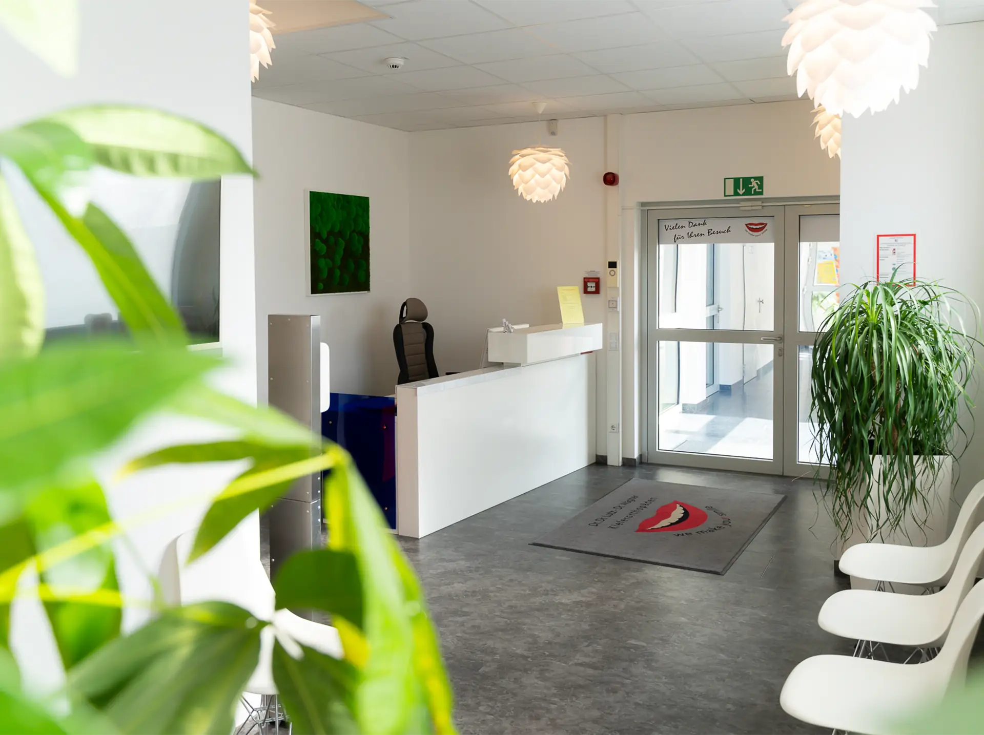 Empfangsbereich der Praxis nach den vollendeten Sanierungsarbeiten. Im Vordergrund ist eine Pflanze zu sehen, auf der rechten Seite ist der Wartebereich mit drei weißen Stühlen zu sehen. Im linken Bereich ist der Empfang.