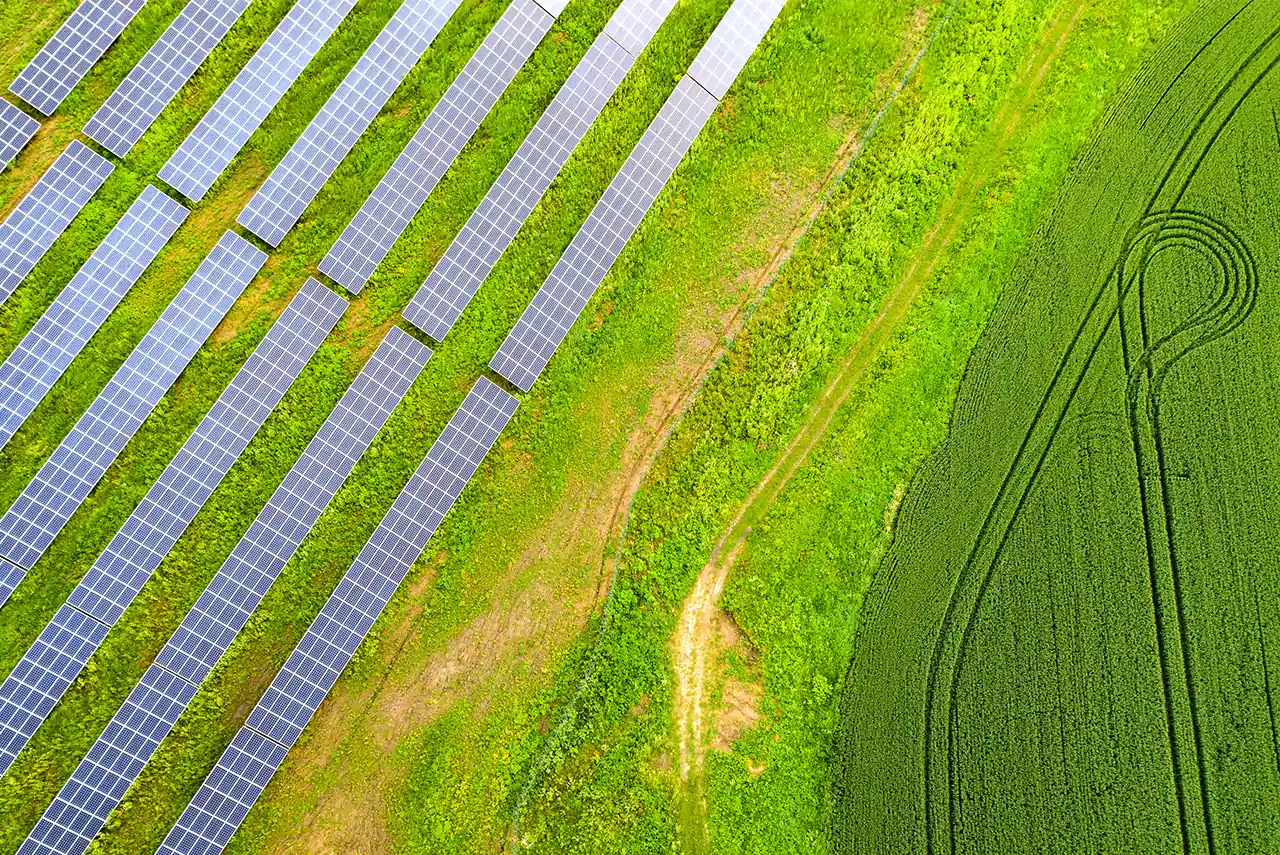 Luftaufnahme von mehreren rechteckigen Solarpanel-Reihen neben einem grünen Feld mit sichtbaren Traktorspuren.