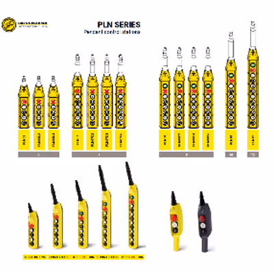 Control Pendant for cranes manufacturers india
