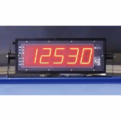 Load Display Units for cranes manufacturers india