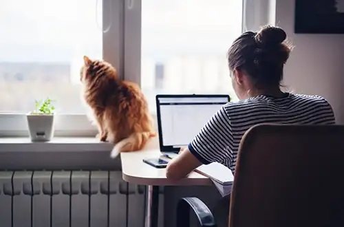 In recent years, home offices have gained great popularity among professionals in many industries.
While there are many advantages to working from home, there are also some disadvantages that can affect productivity and the work environment.
This article explores both the advantages and disadvantages of having a home office and provides tips on how to best set up your home office for maximum efficiency.