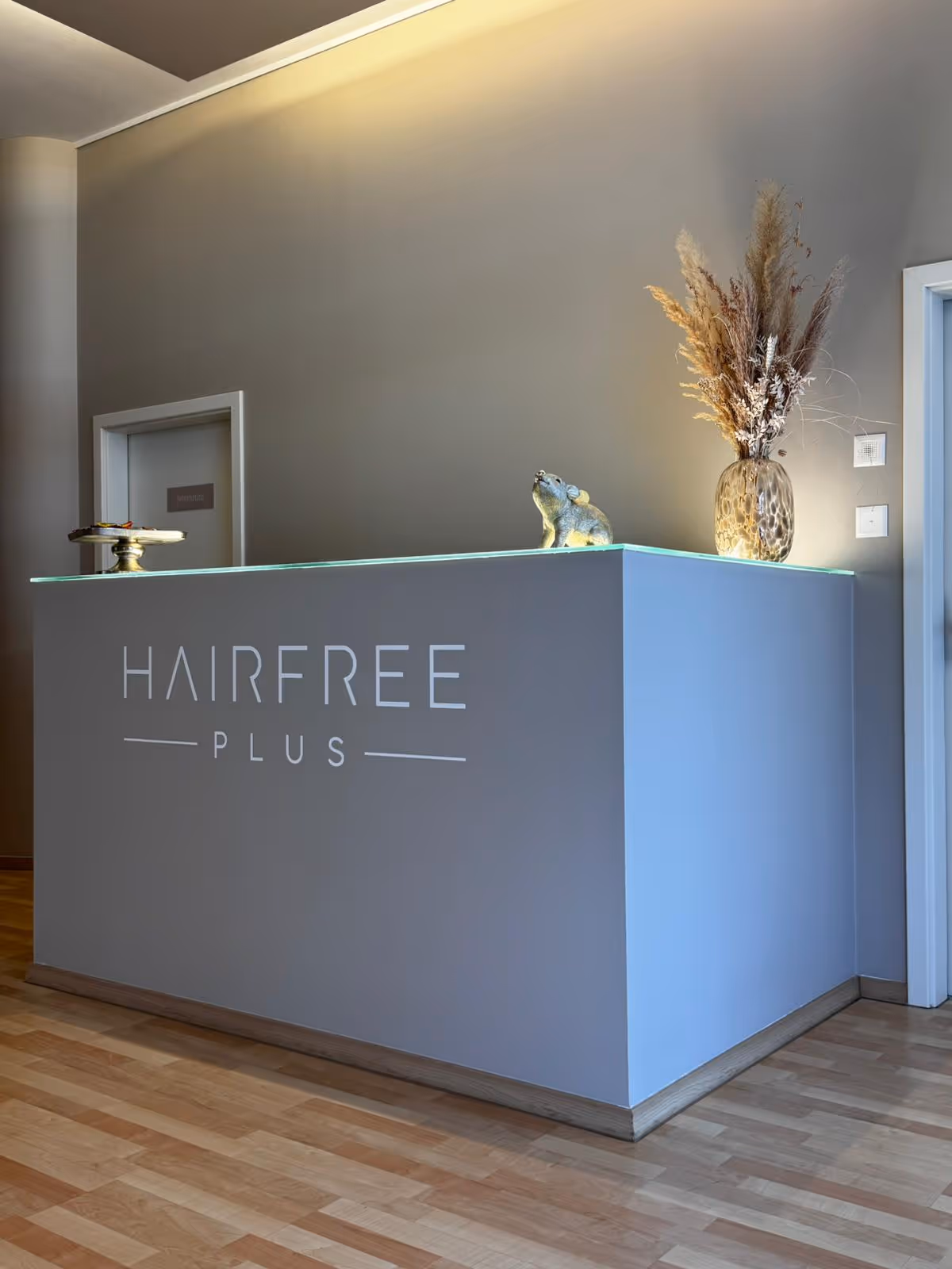 Hairfree PLUS Studio Luzern