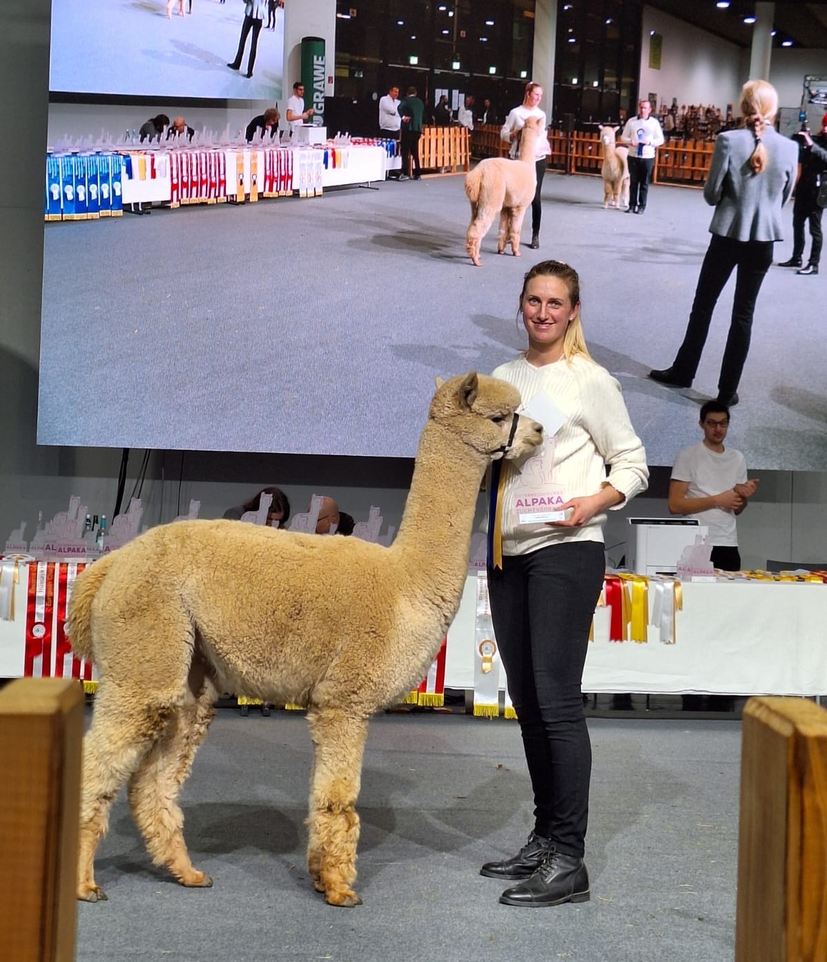A person in a white shirt stands next to a beige alpaca