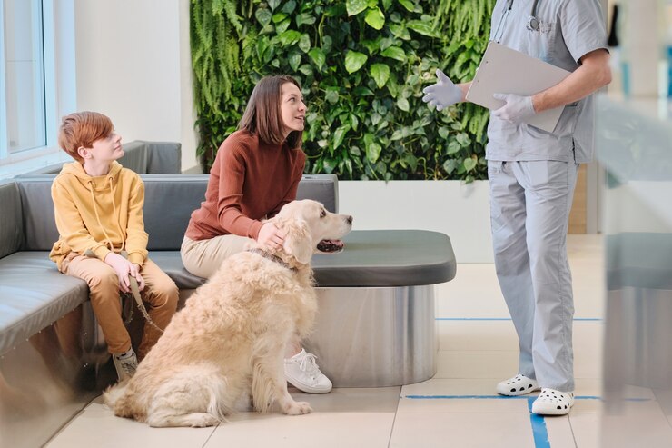 Client Testimonials in Veterinary Marketing | How to Grow Your Practice with Social Proof
