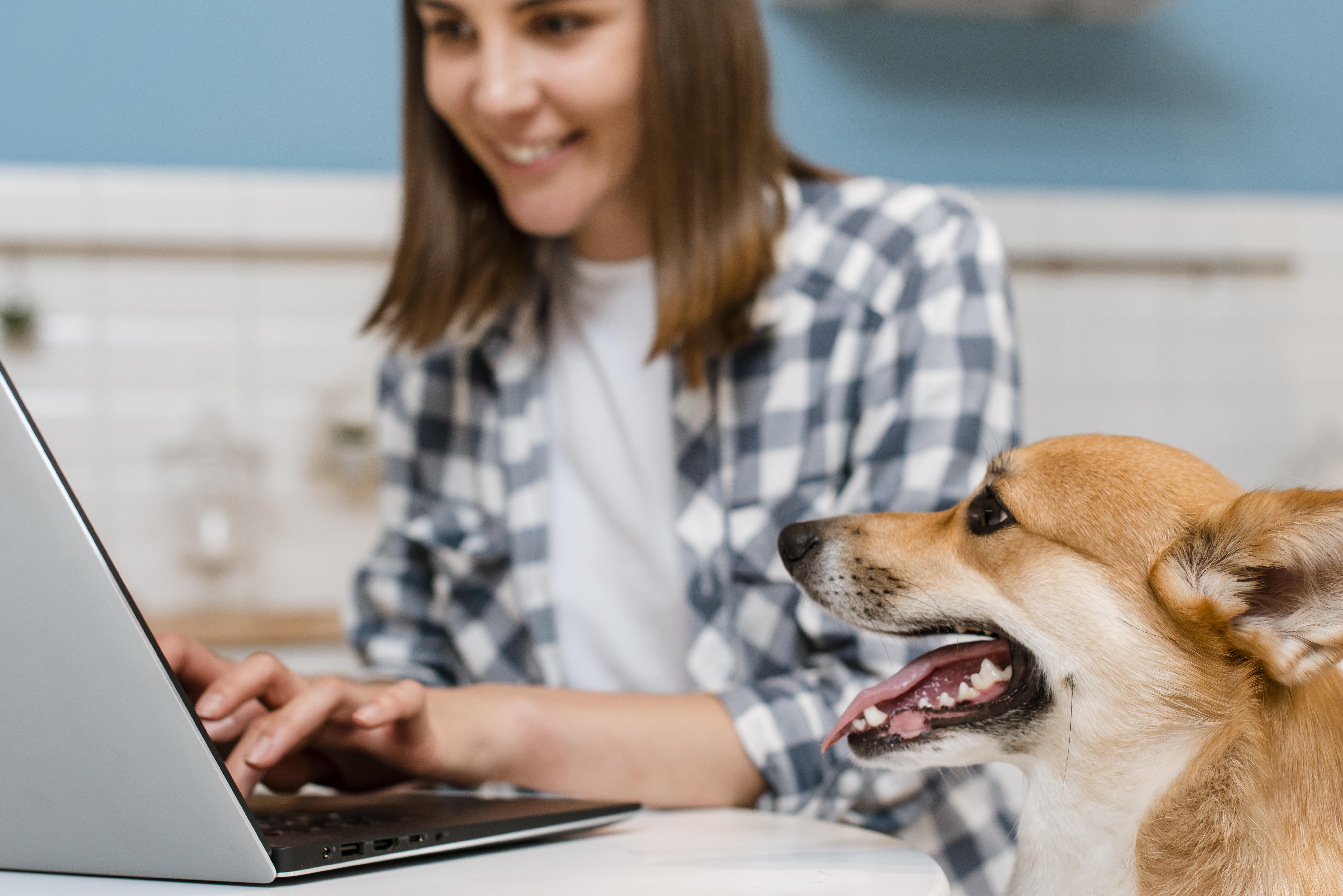 Email Marketing for Vets: Retain Clients Nationwide