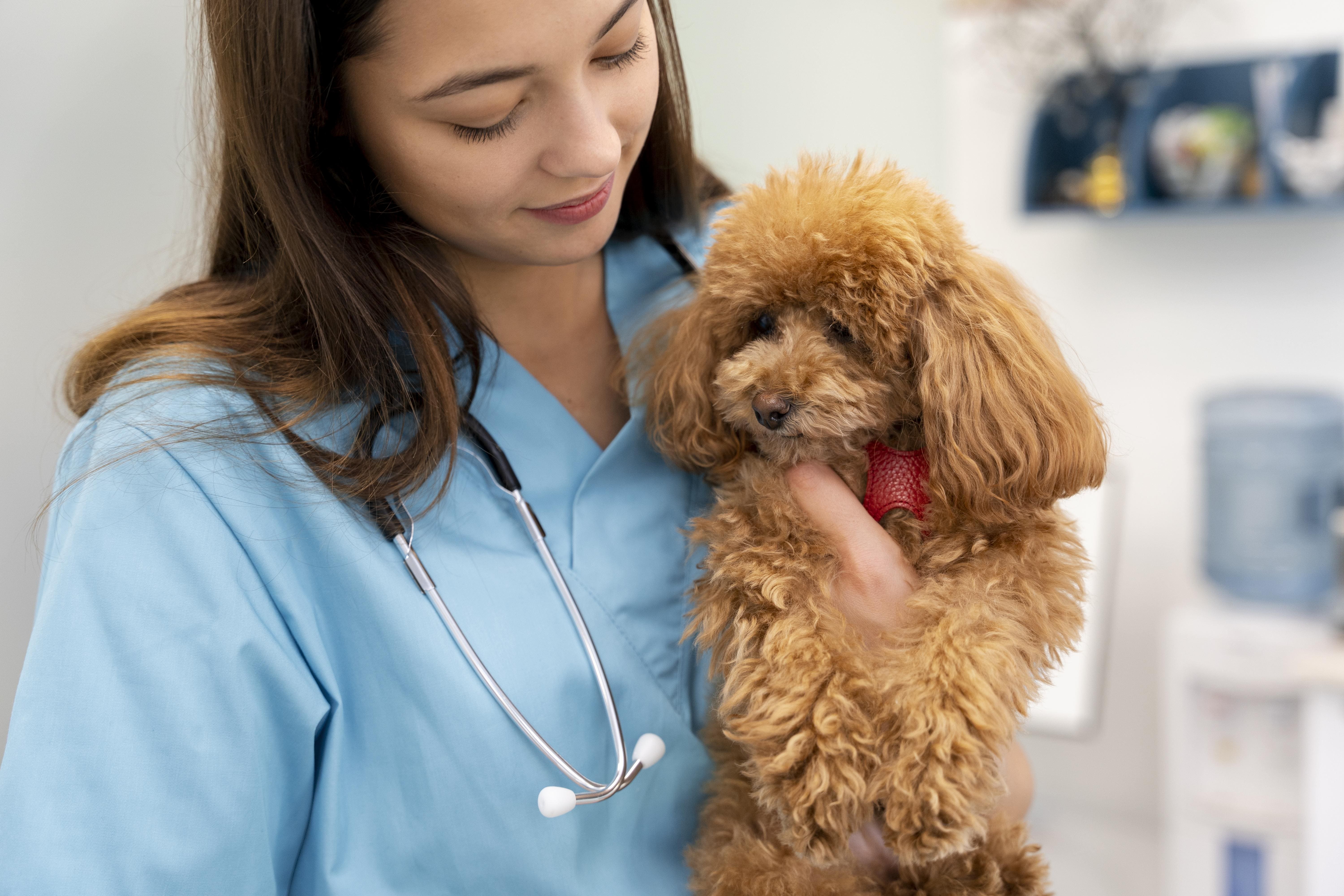 Pioneering Mobile Veterinary Diagnostics Provider Partners with Veterinary Marketing to Expand Access to Advanced Imaging Technology