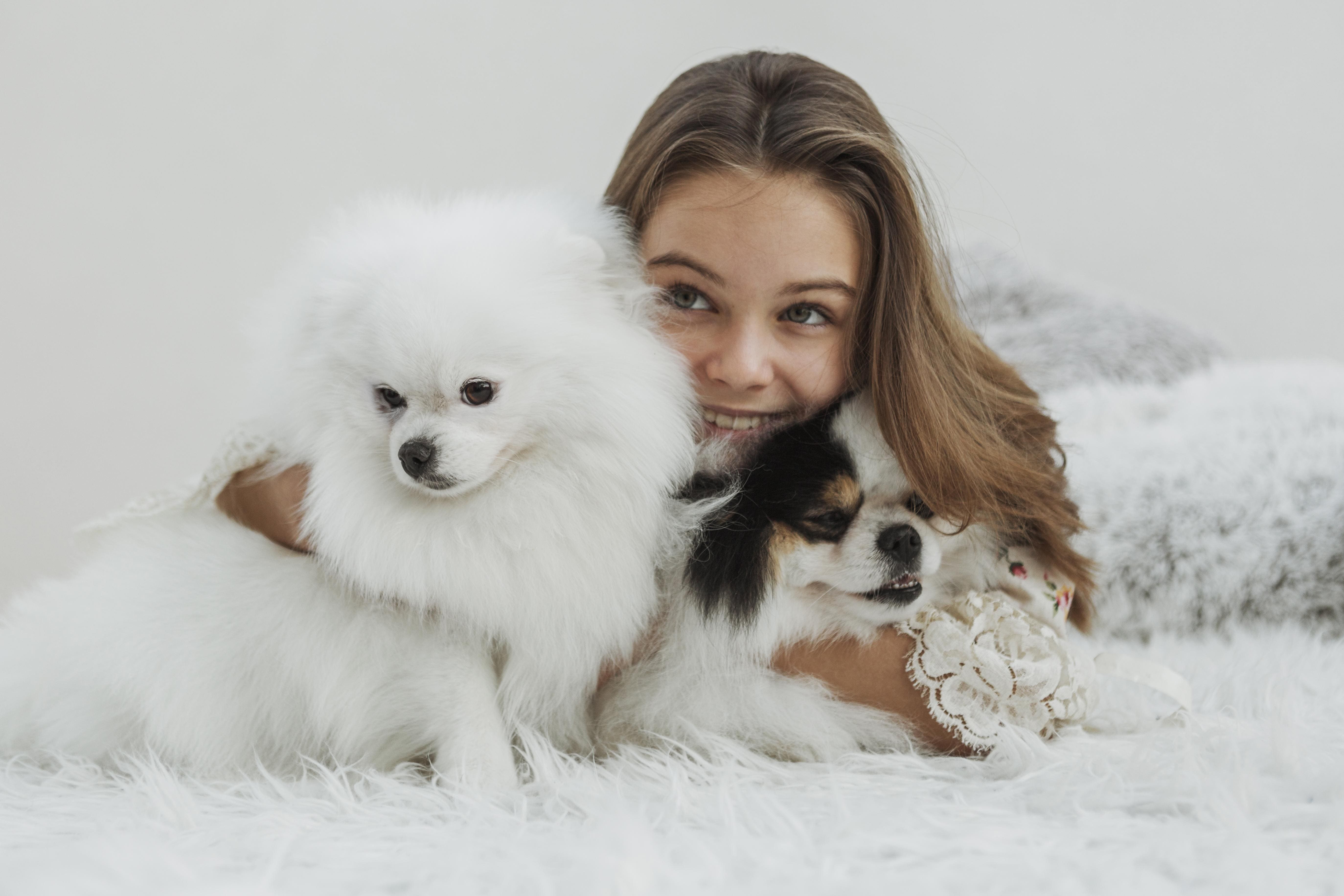 Premier South Florida Mobile Veterinary Specialist Engages Marketing Firm to Bolster Advanced Mobile Diagnostics Presence