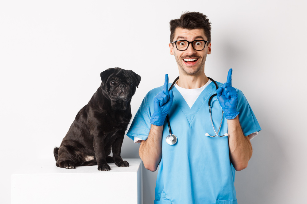 Transforming Pet Care in Prattville: A Strategic Partnership with Veterinary Marketing