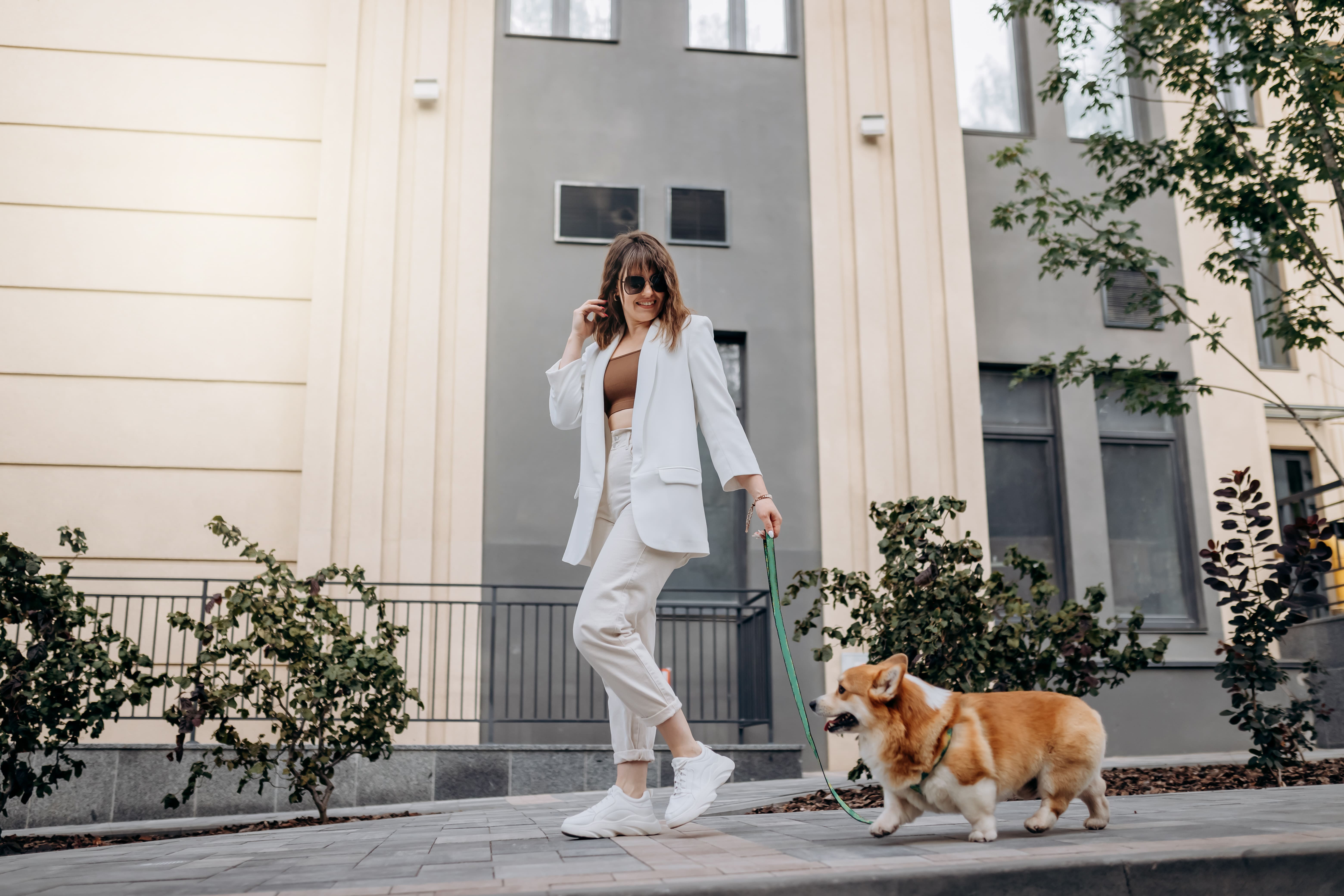 Veterinary Marketing Launches First Website for Veterinary Practice in Long Island City, NY