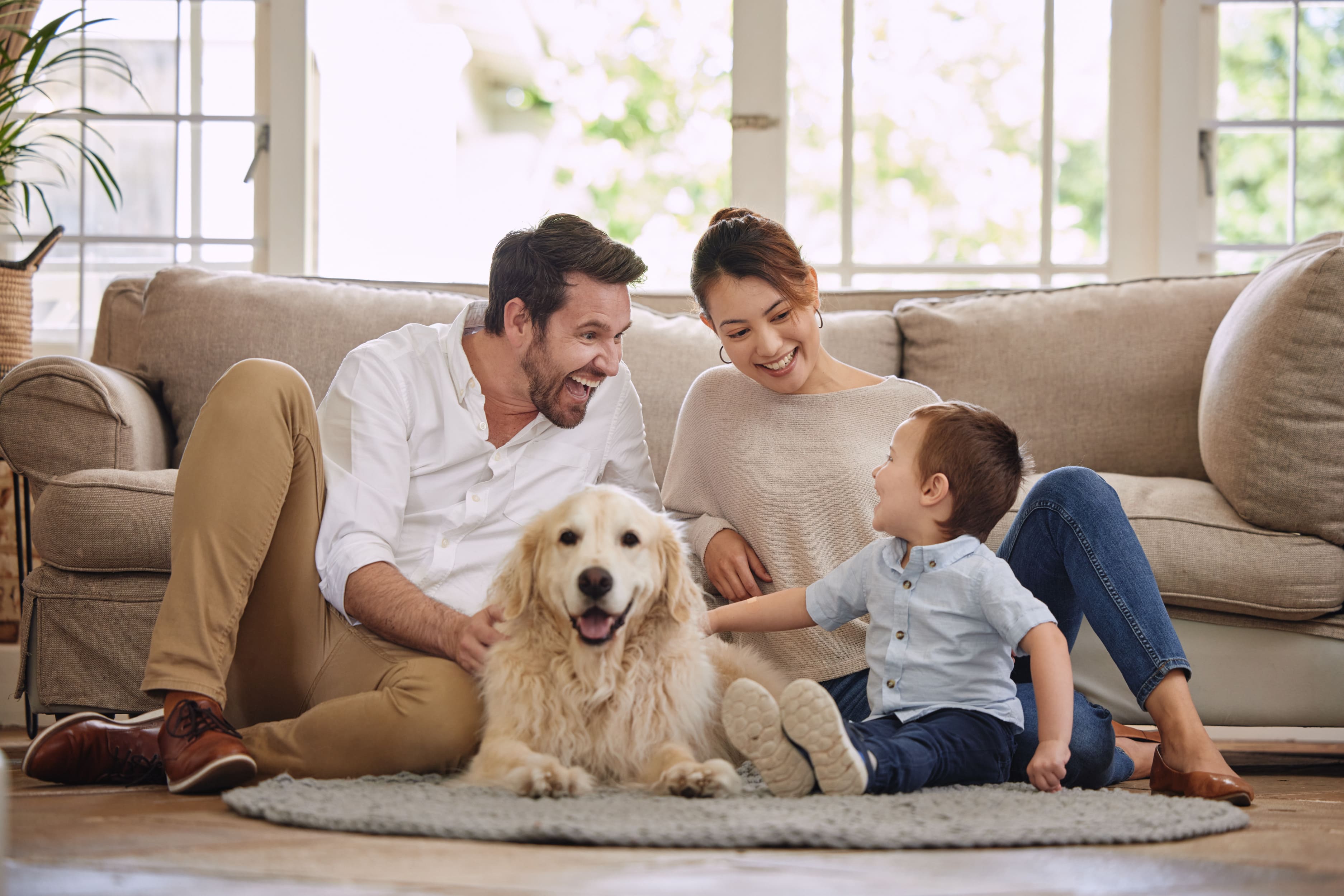 Veterinary Marketing Supports a New Online Direction of a Longstanding Veterinary Practice in Stockton, CA