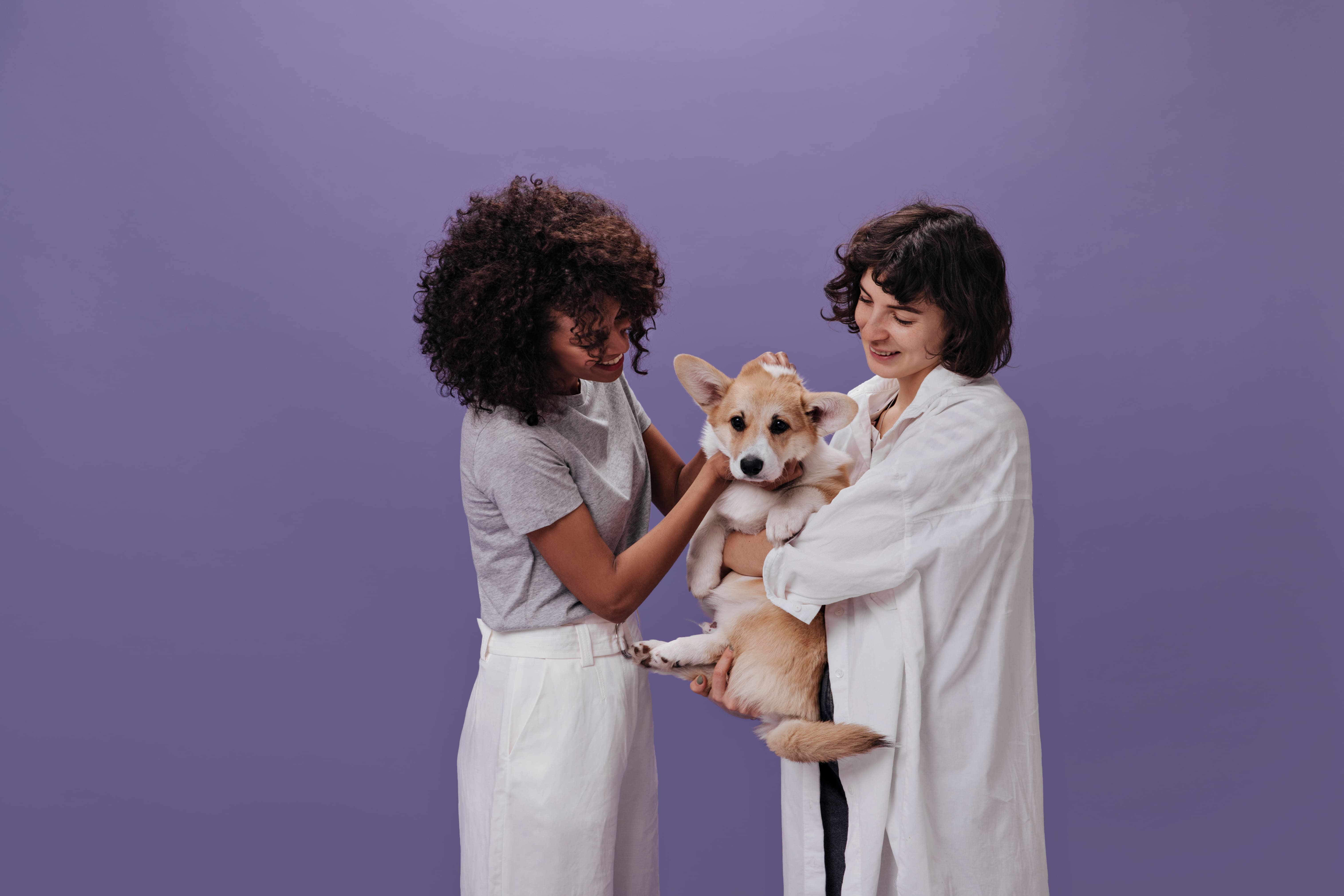 Veterinary Marketing Highlights the Integrative Approach of a Veterinary Practice in Pequot Lakes, MN