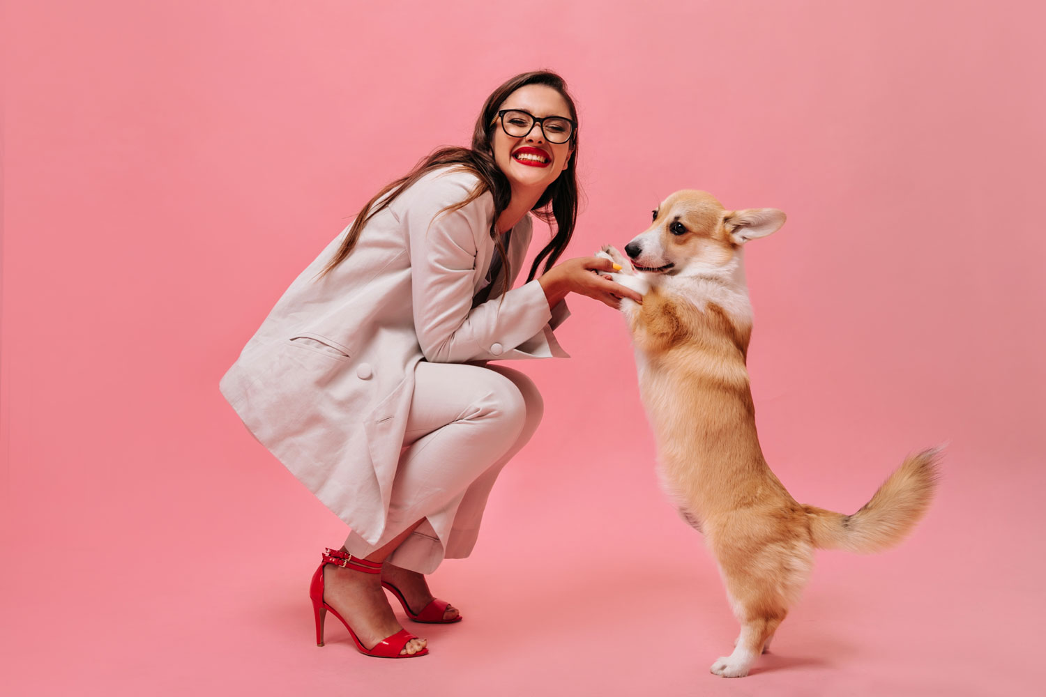 Veterinary Marketing Helps a Cincinnati, OH Veterinary Practice Tell a More Complete Story About Pet Care