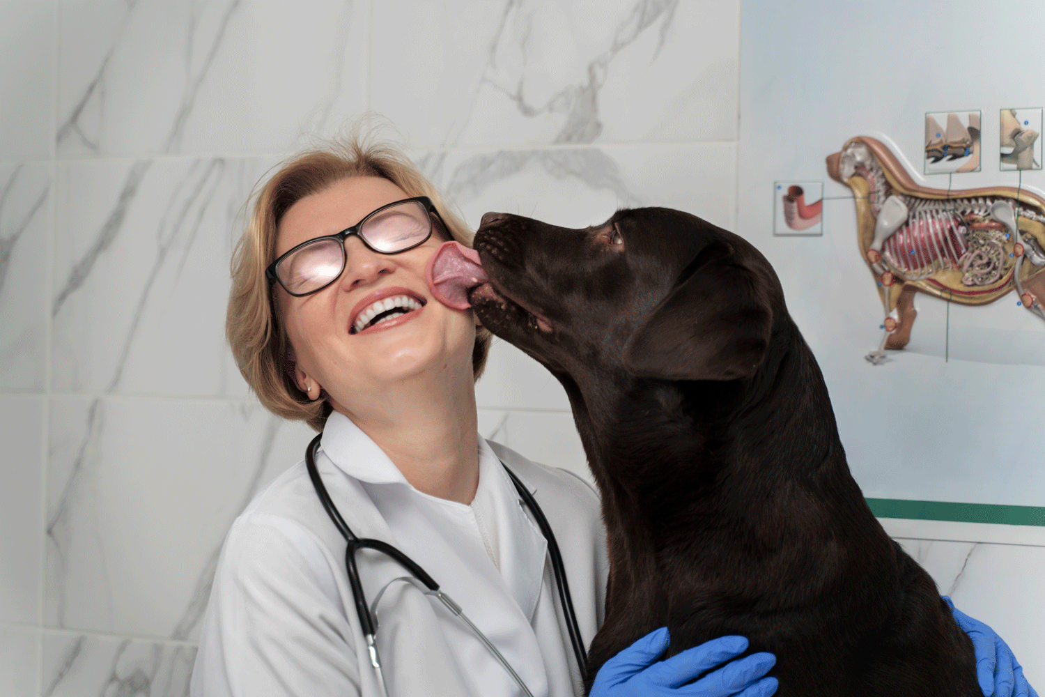 Veterinary Marketing Helps a Madison, AL Veterinary Practice Be There for More of the Moments Pet Owners Face