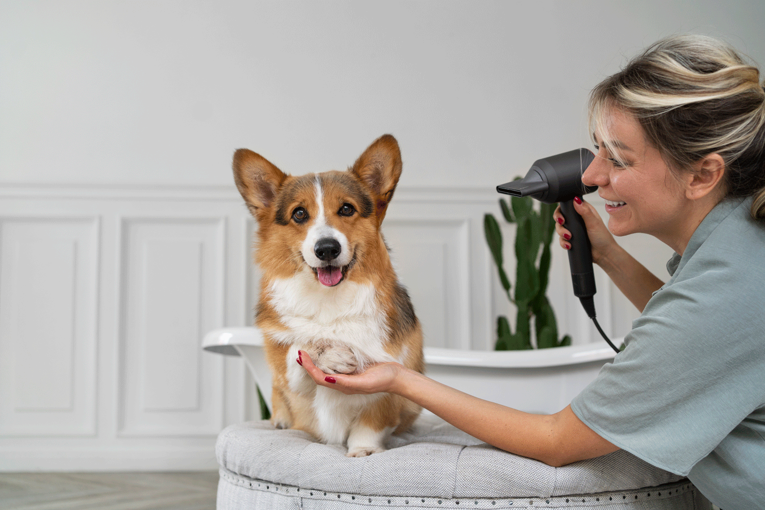 Veterinary Marketing Helps a Madison, AL Pet Resort Showcase a More Thoughtful Way to Care for Pets