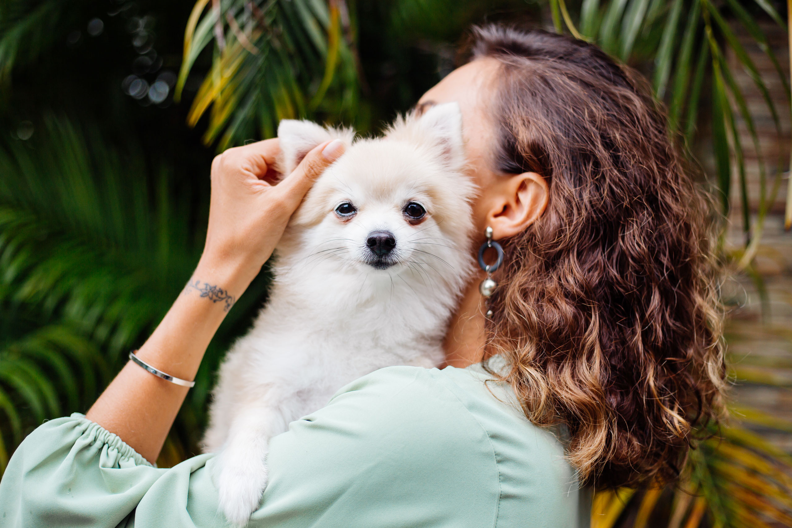 Veterinary Marketing Helps a Norfolk, NE Veterinary Practice Bring More of Its Story Online