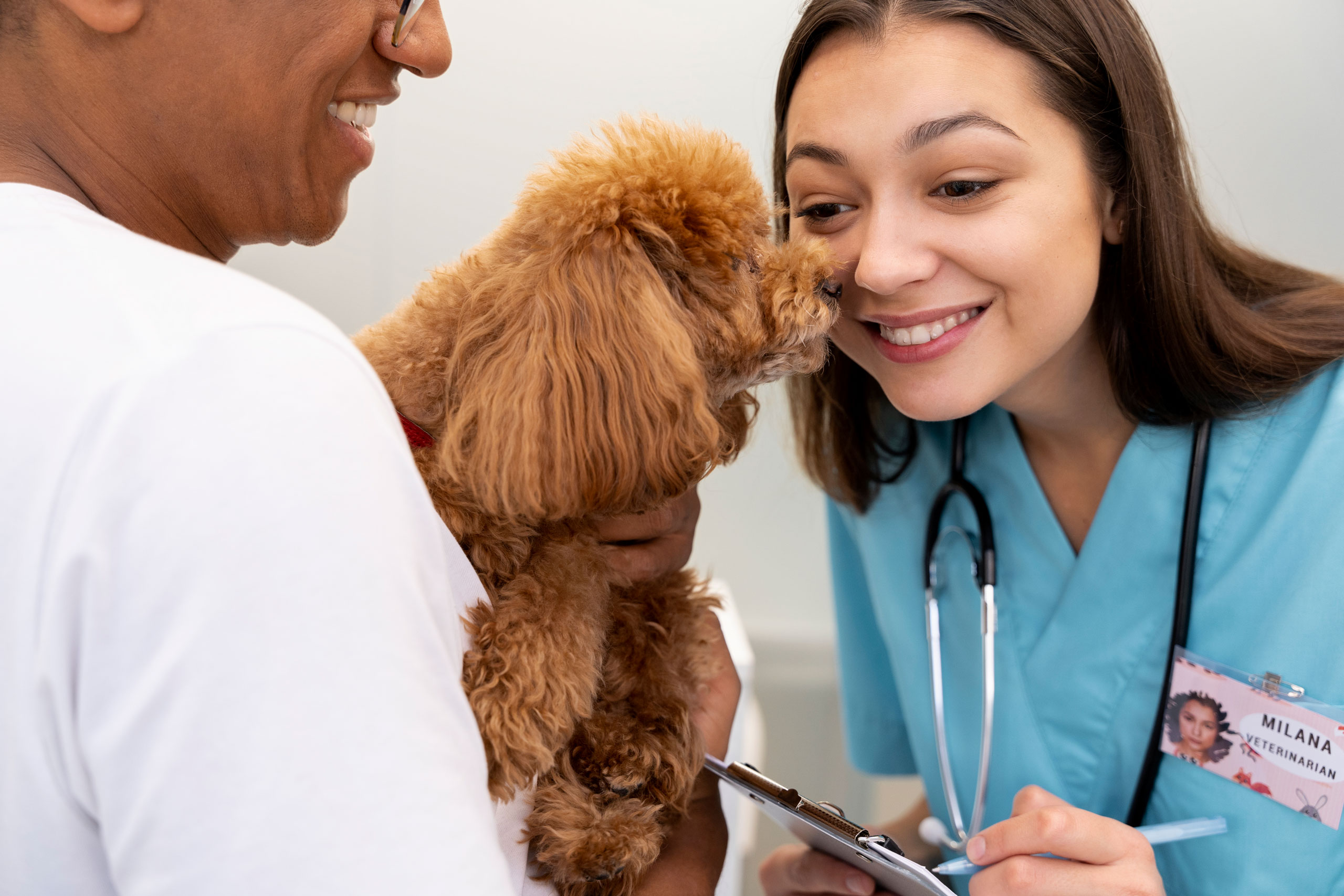 Veterinary Marketing Helps a Madison, AL Veterinary Practice Put Compassion and Quality Care at the Center of Its Marketing