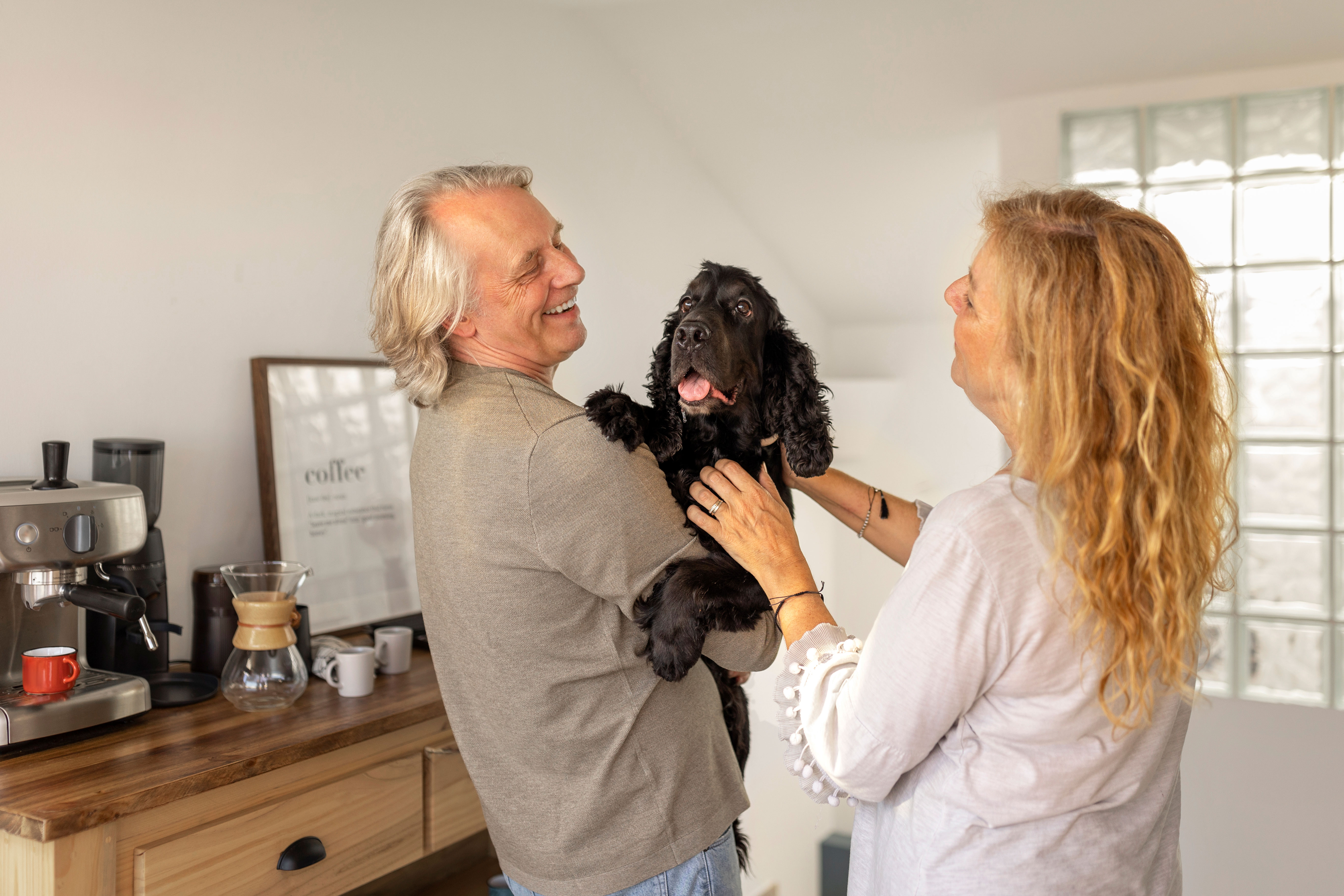 Veterinary Marketing Brings a More Direct Approach to Digital Growth for a Miami, FL Veterinary Practice