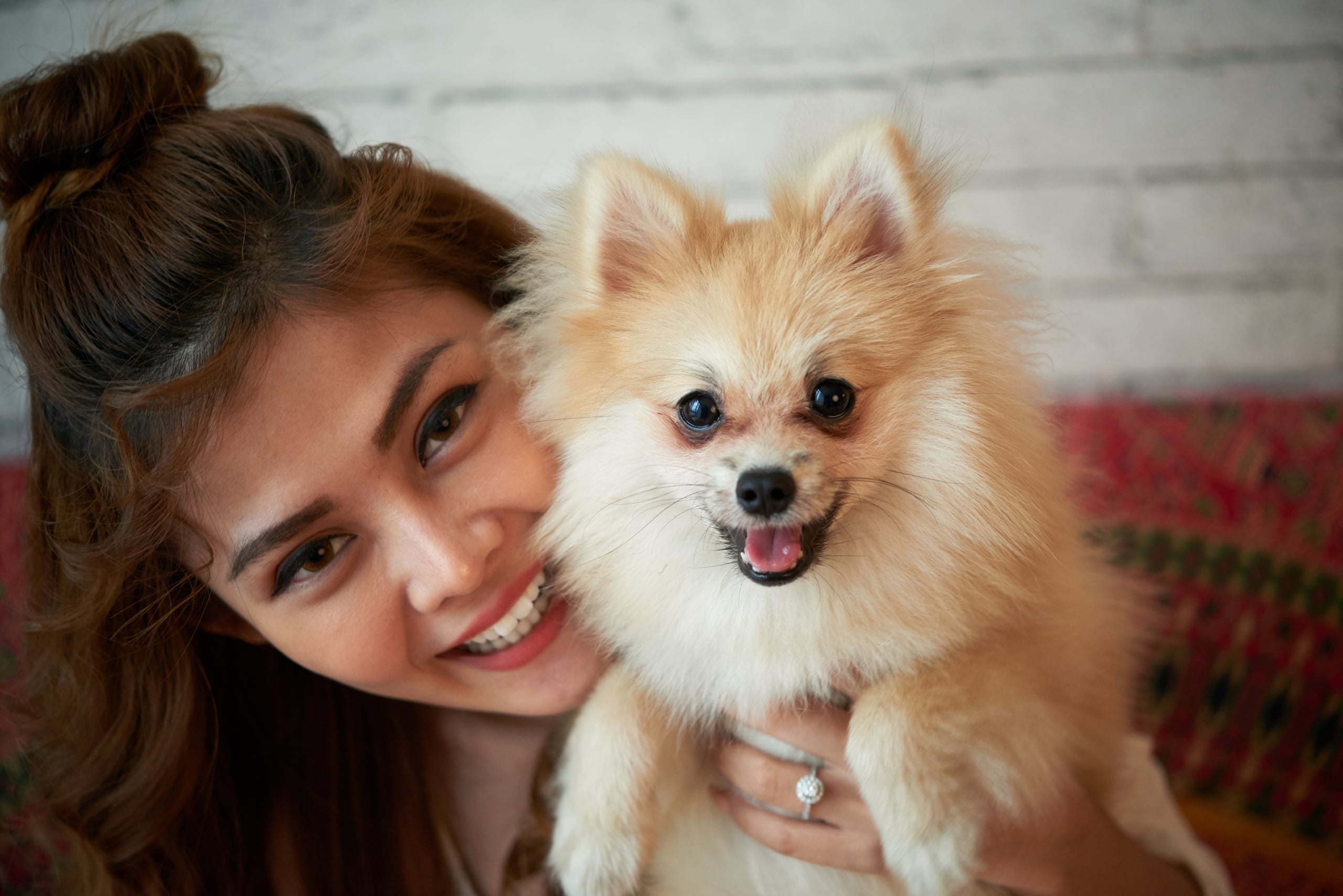 Veterinary Marketing Supports a Growing Multi-Location Mission to Make Urgent Pet Care More Accessible