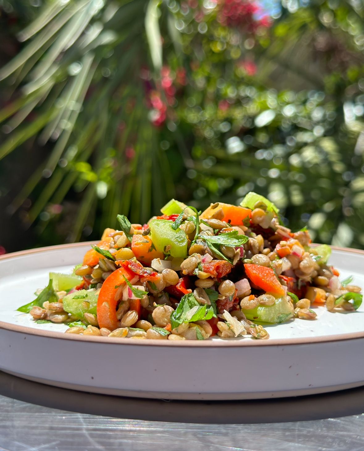 Recipes Dish Image