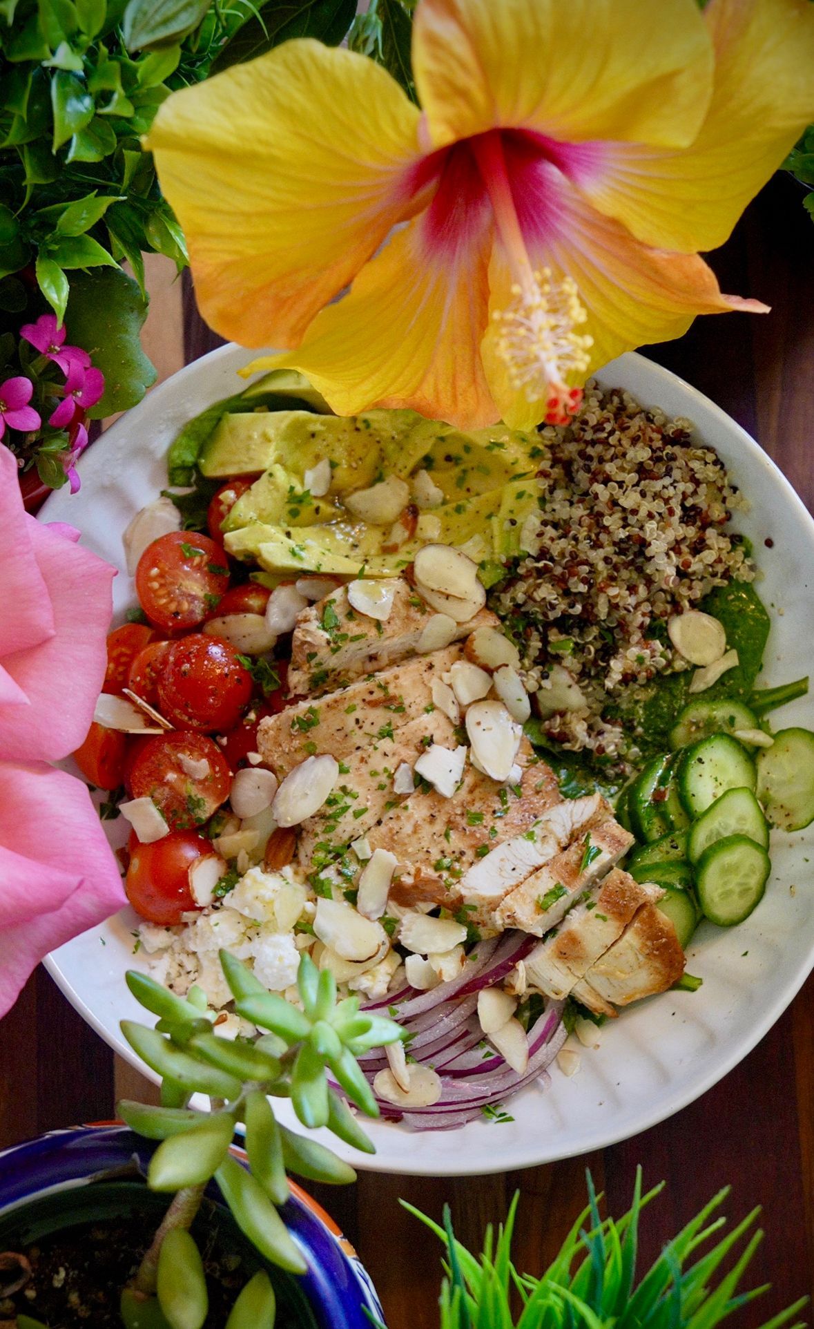 Recipes Dish Image