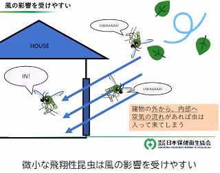 影響.png